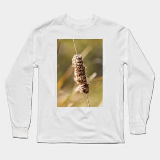 Cattail Scruff. Photograph Long Sleeve T-Shirt